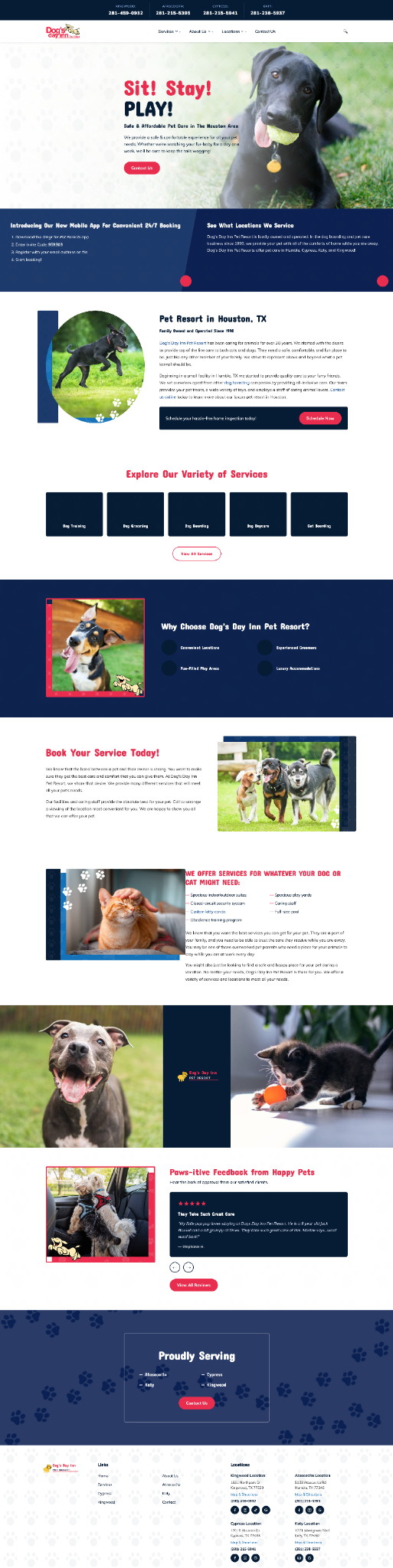 Pet daycare designed for safe energy release and better routines